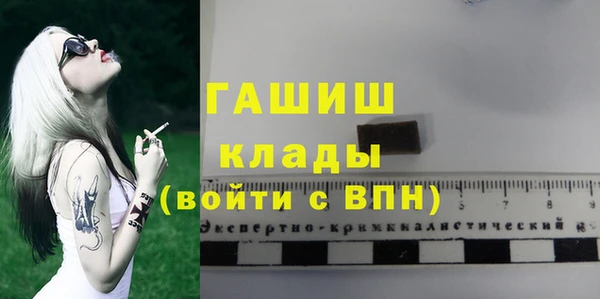гидра Бородино