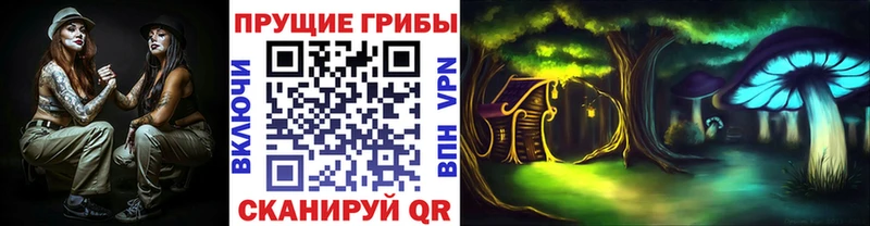 Псилоцибиновые грибы Psilocybine cubensis  как найти закладки  Каргат 